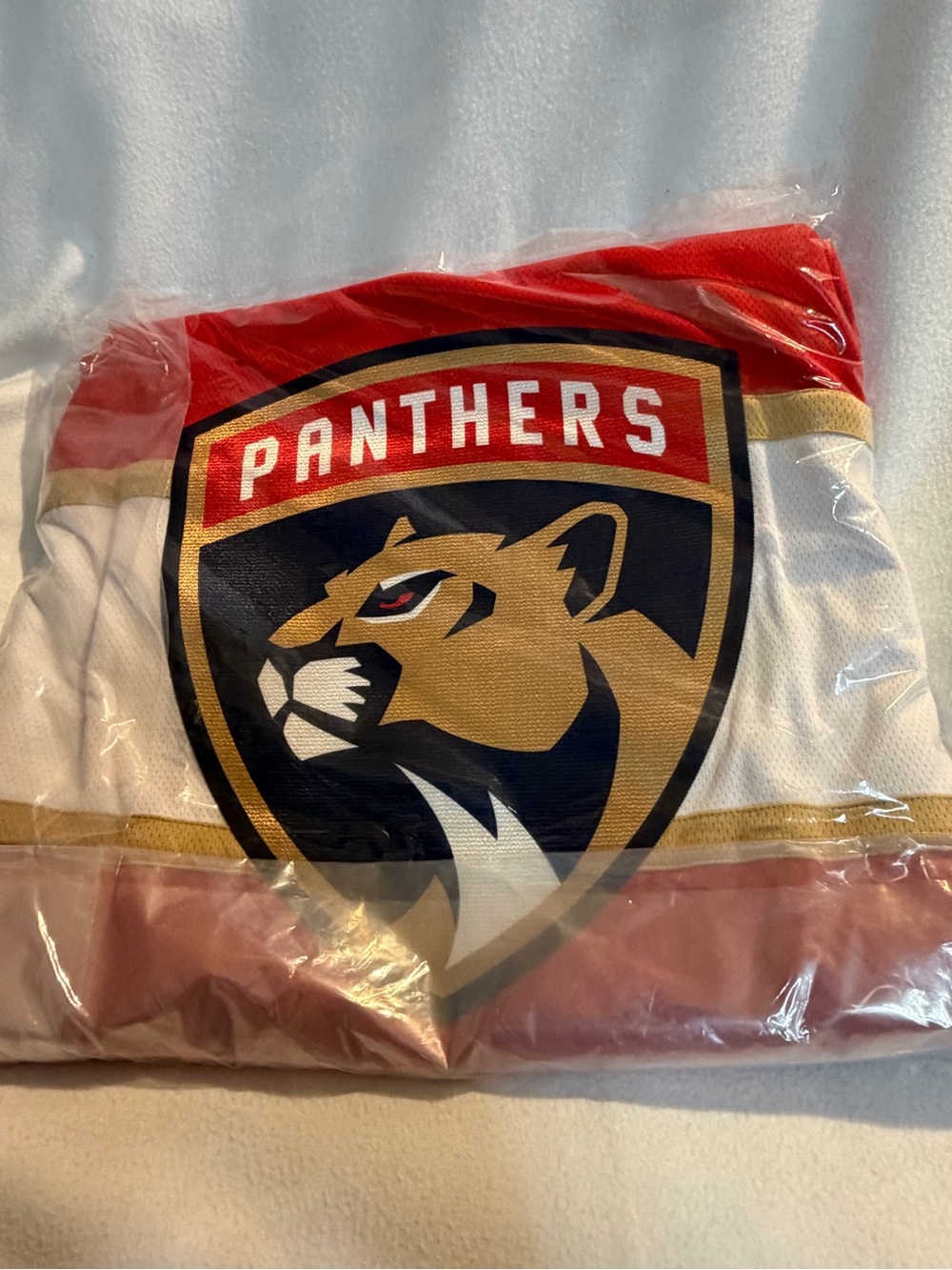 Panthers Hockey Breakaway Jersey